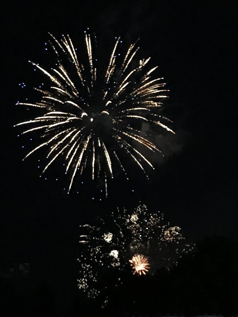 Fireworks on July 4th at Ribfest, Naperville, IL. Milestones on the Road to Financial Independence are just as significant to celebrate!!